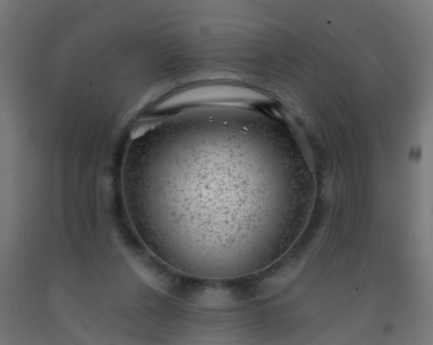 X0000092300256200709281332