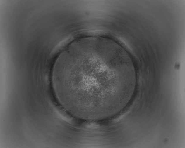 X0000092300258200709281332