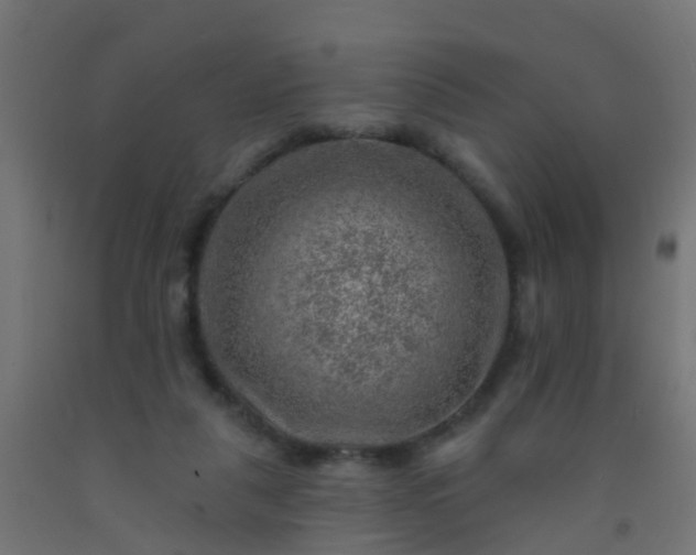 X0000092300259200709281332