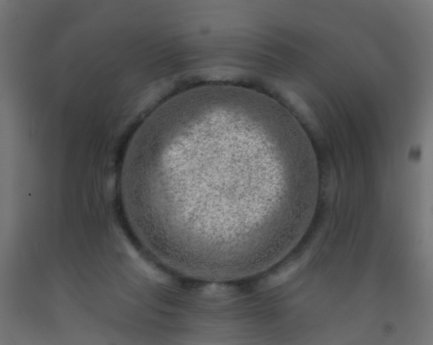 X0000092300261200709281332