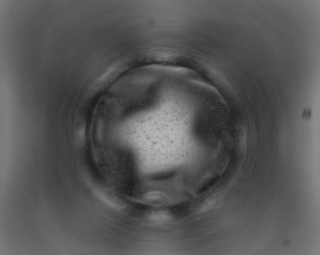 X0000092300262200709281332