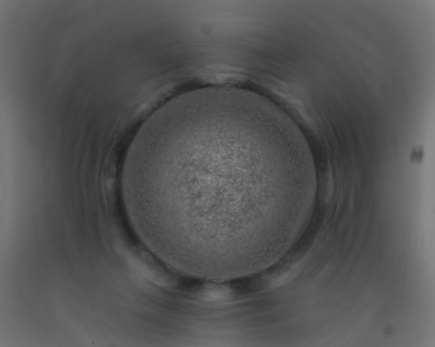 X0000092300263200709281332