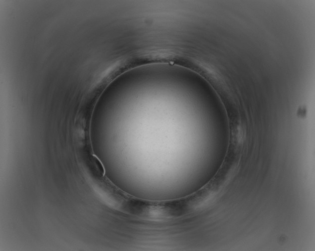 X0000092300264200709281332