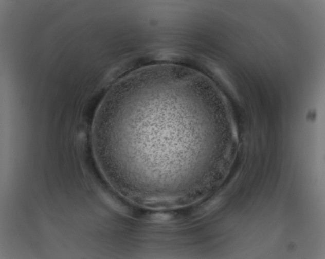 X0000092300265200709281332