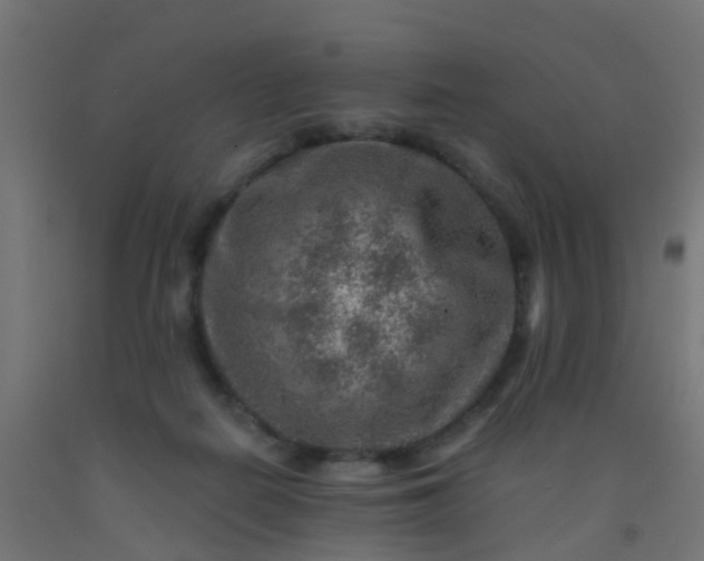 X0000092300266200709281332