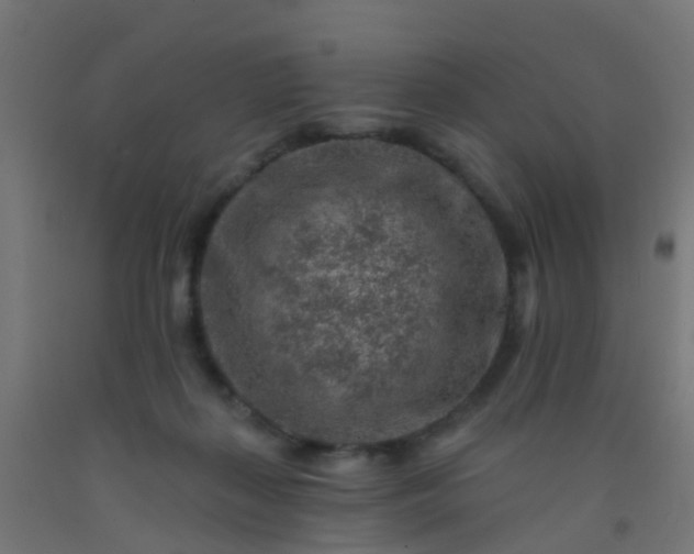 X0000092300267200709281332