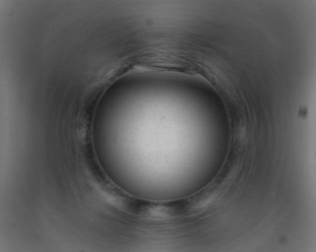 X0000092300268200709281332