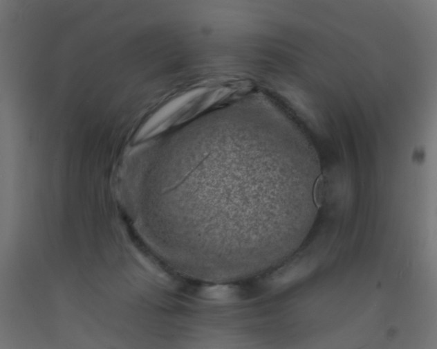 X0000092300269200709281332