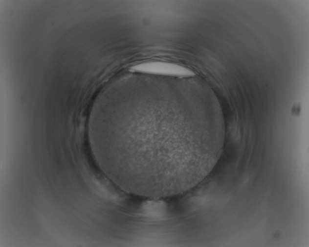 X0000092300271200709281332