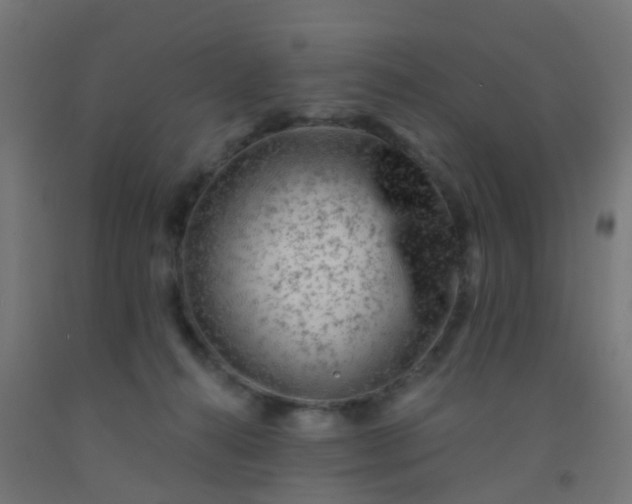 X0000092300272200709281332