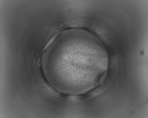 X0000092300273200709281332