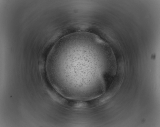 X0000092300274200709281332