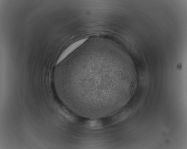 X0000092300275200709281332