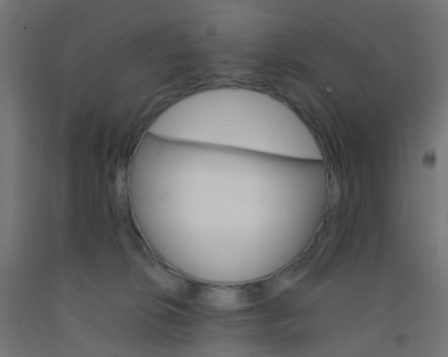 X0000092300276200709281332