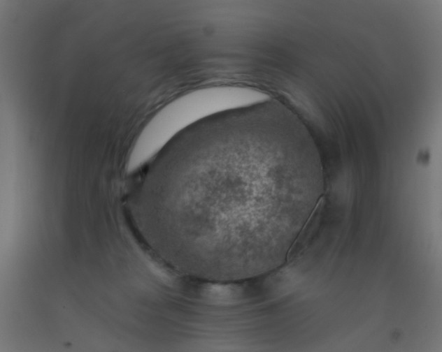 X0000092300277200709281332