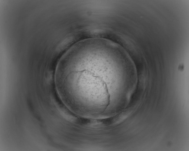 X0000092300278200709281332