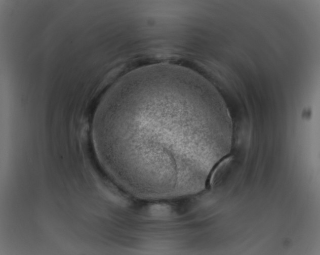 X0000092300279200709281332