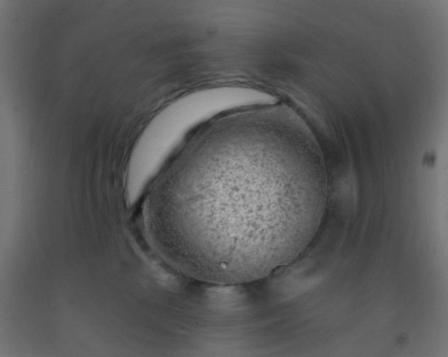 X0000092300281200709281332