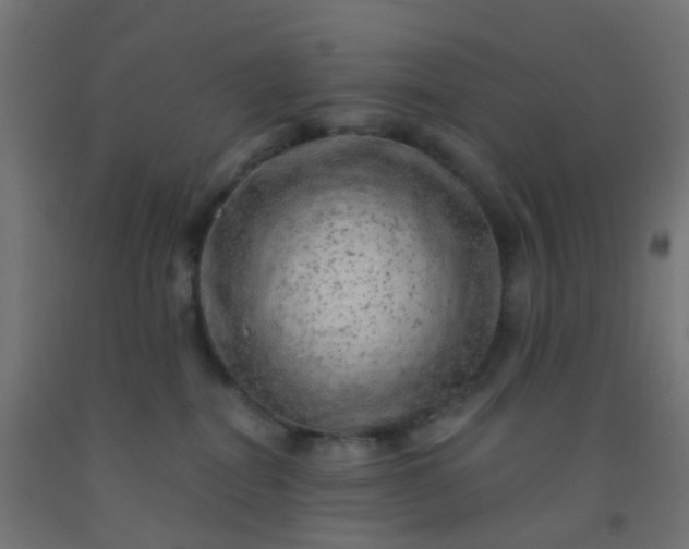 X0000092300282200709281332