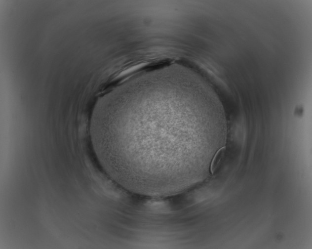 X0000092300283200709281332