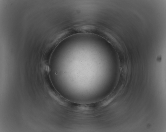 X0000092300284200709281332