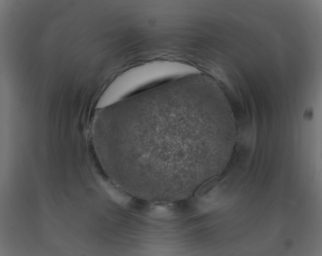 X0000092300285200709281332