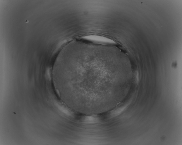 X0000092300286200709281332