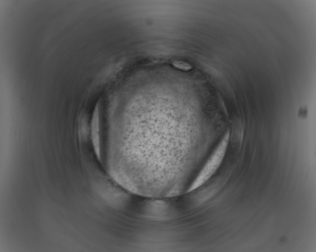 X0000092300287200709281332