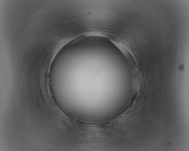 X0000092300289200709281332