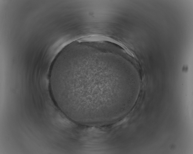 X0000092300290200709281332