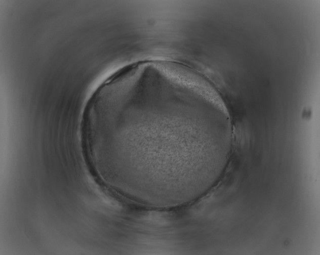 X0000092300292200709281332