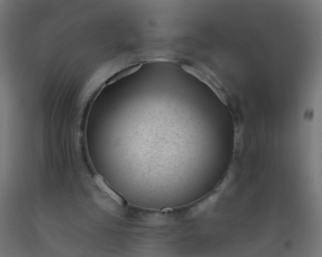 X0000092300293200709281332