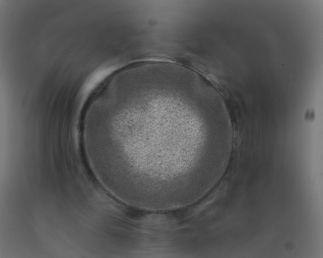 X0000092300294200709281332