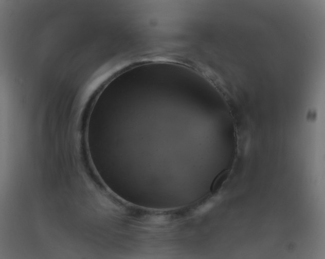 X0000092300295200709281332