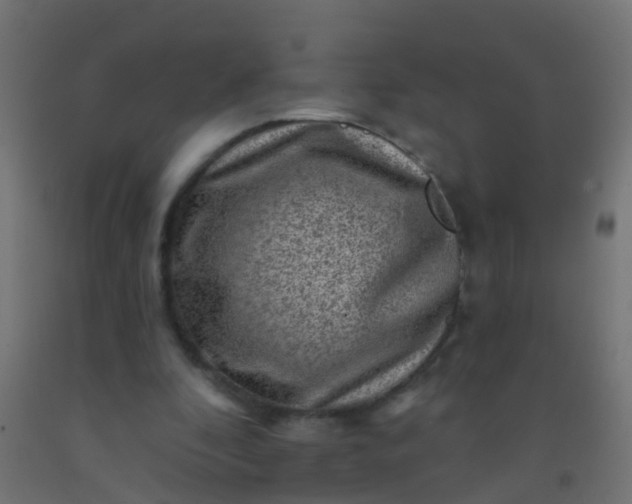 X0000092300296200709281332