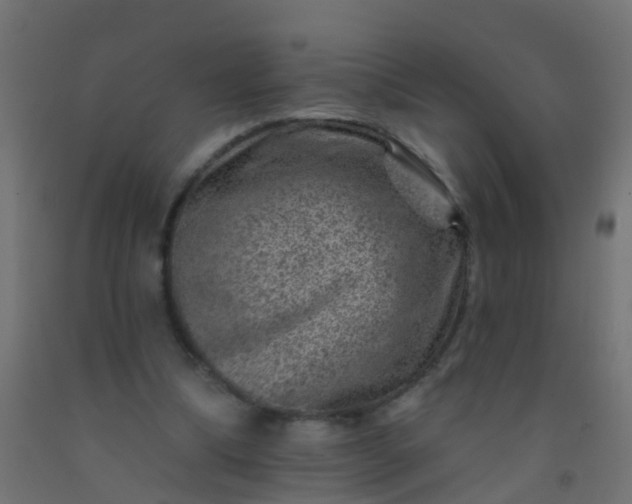 X0000092300298200709281332