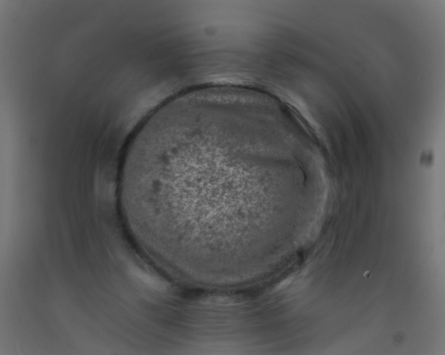 X0000092300299200709281331