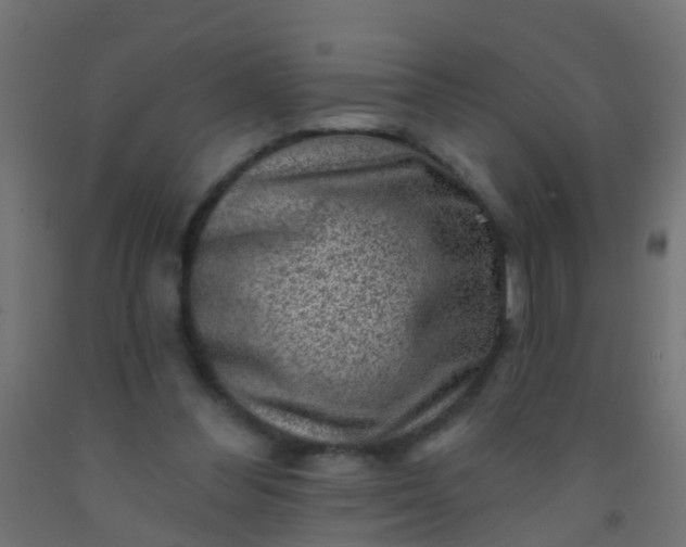 X0000092300300200709281331