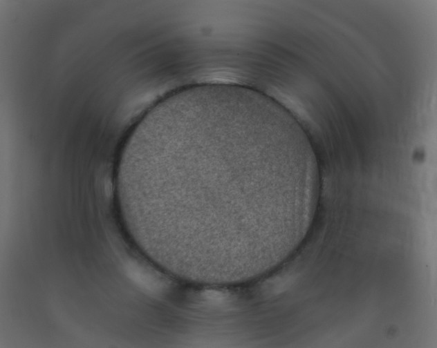 X0000092300302200709281331