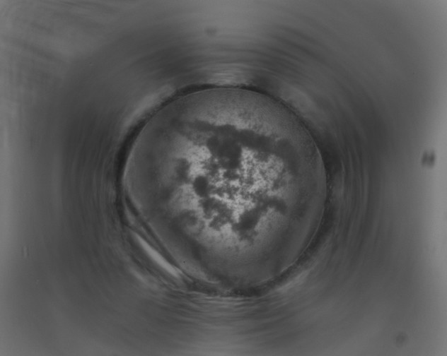 X0000092300303200709281331