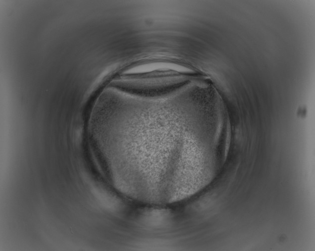 X0000092300304200709281331