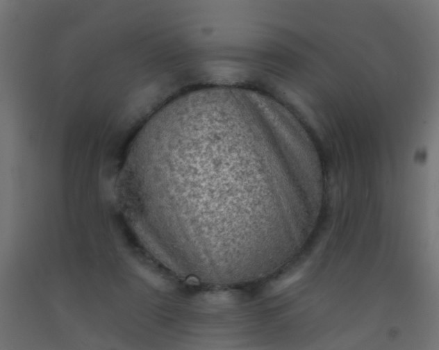 X0000092300307200709281331