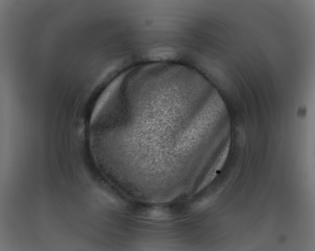 X0000092300308200709281331