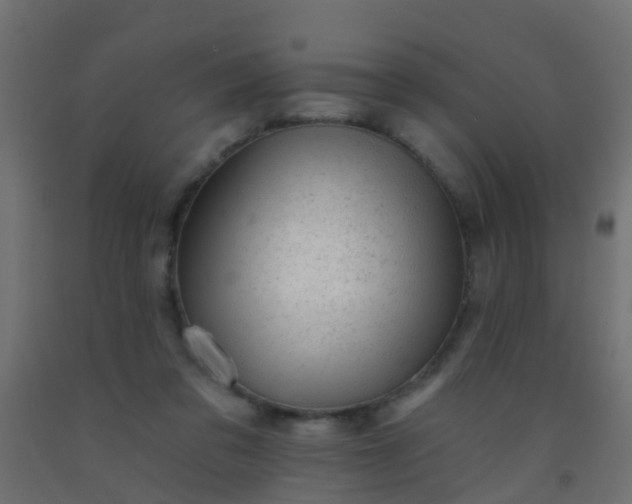 X0000092300309200709281331