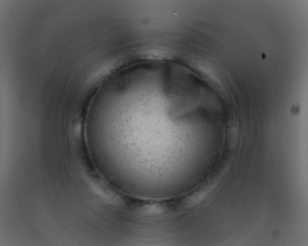 X0000092300310200709281331