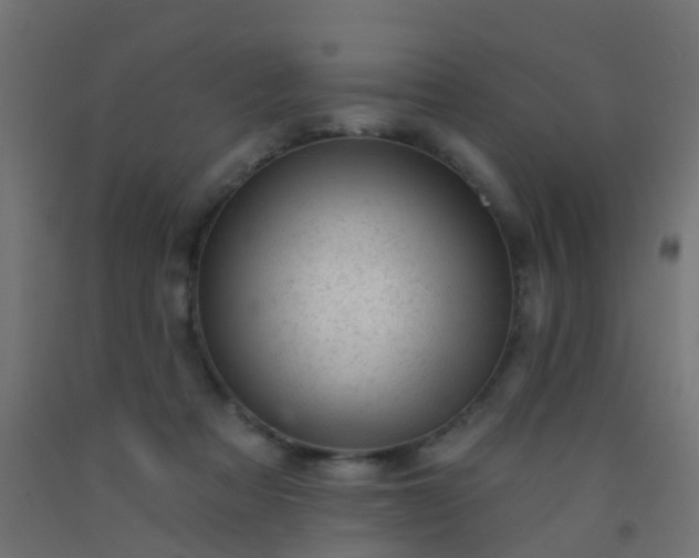 X0000092300313200709281331