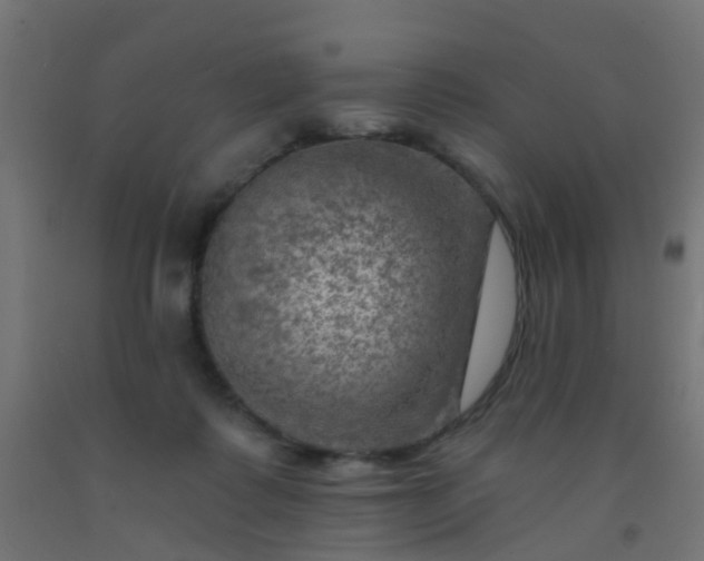 X0000092300315200709281331