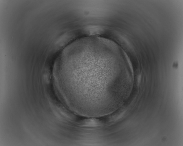 X0000092300316200709281331