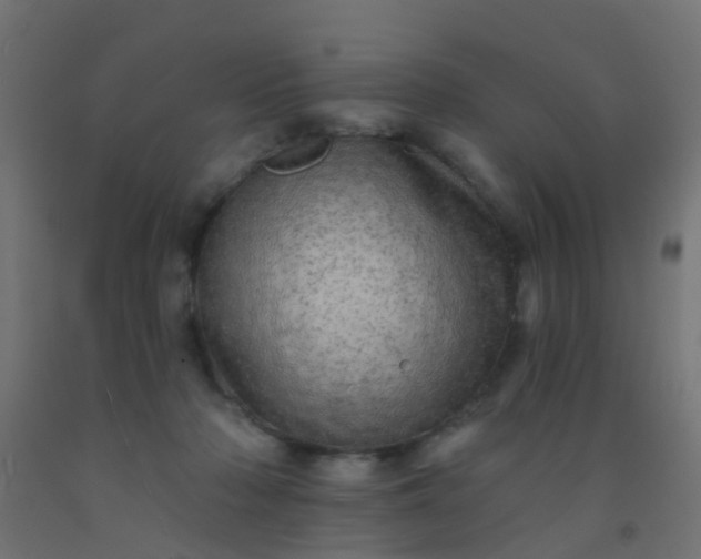 X0000092300318200709281331