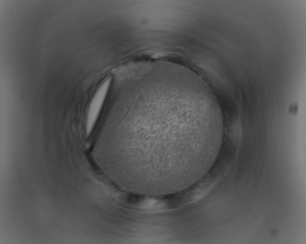 X0000092300319200709281331